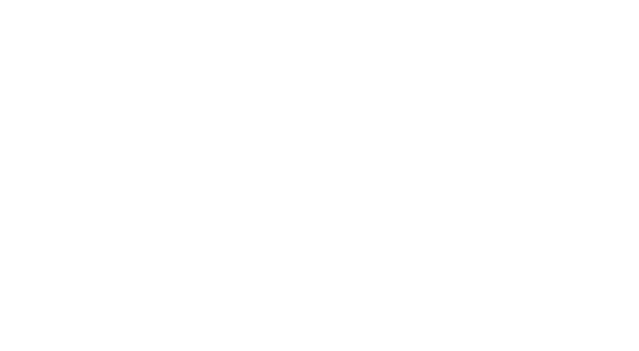 Ascent Provisions logo