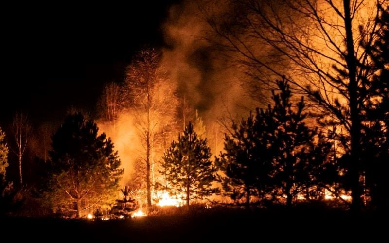 Nighttime shot of wildfire firstorm tearing through evergreen grove close to homes.